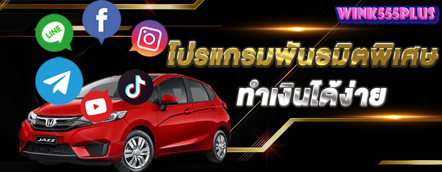 Specialpartnerprogram-wink555plus
